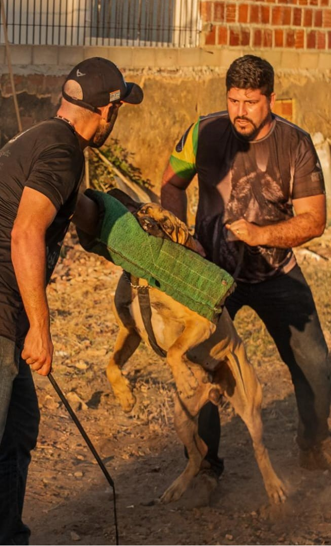 Alão do Brasuca - Foto